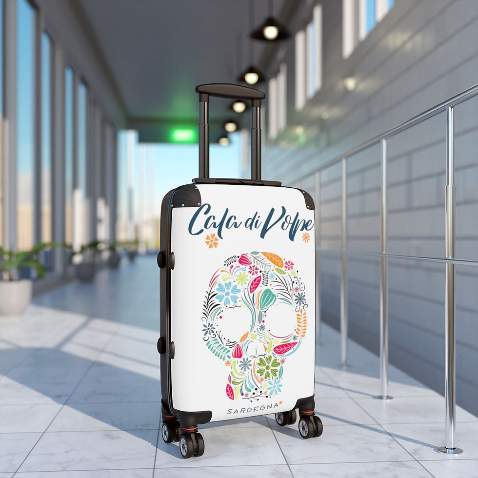 Миниатюра: CdV VIP Cabin Suitcase
