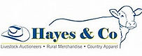 Hayes & Co.jpg
