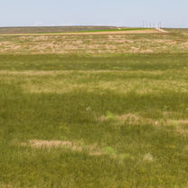 MinnickPasturesWeb (37 of 44).JPG