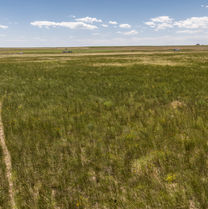 MinnickPasturesWeb (31 of 44).JPG