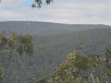 A steep drop into Healesville's secrets: Don Road's Barrier