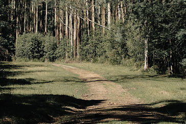 4A3EB4F1-B787-4CF5-A91F-48F329593BF7.jpg