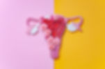 AdobeStock_326401256.jpeg