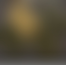 Redefining Architectural Aesthetics with Invisible Solar Energy—Taiwan Perovskite Solar Corp.'s "Textured Series Perovskite Cells" Solve Architects' Design Challenges