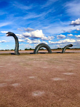 Loch-Eel Monster @ Lake Bumbunga