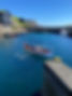 IMG_0902.jpeg