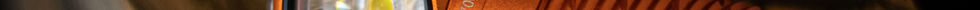 pexels-cottonbro-9953288_edit.jpg