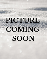 image (3).png