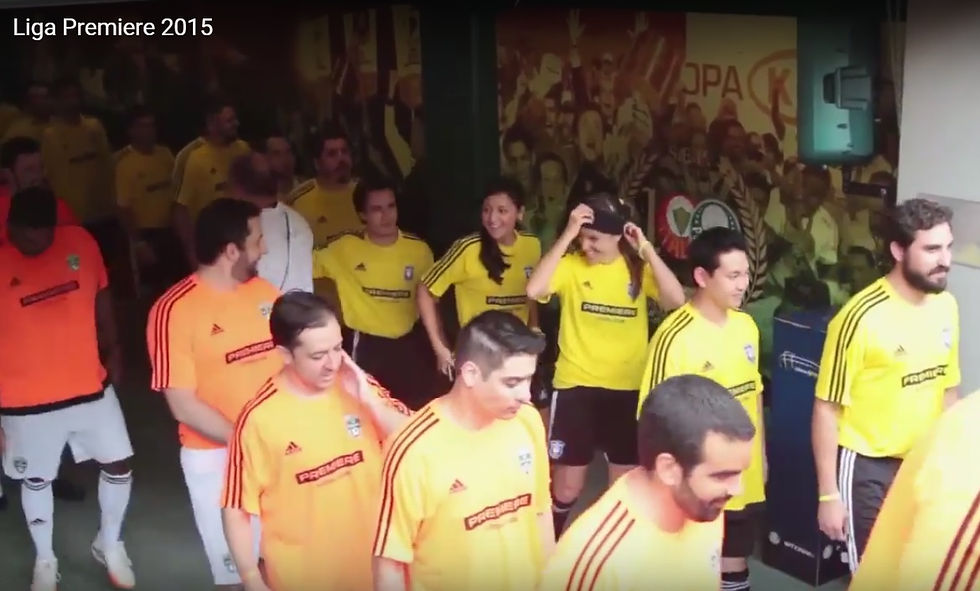 Liga Premiere 2015