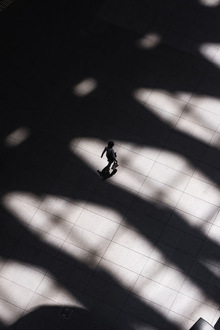 ryoji-iwata-QKHmi6ENAmk-unsplash.jpg