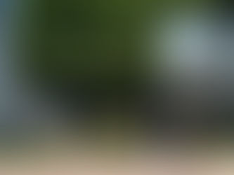 نحو عمارة خضراء | التصميم المعماري المستدام