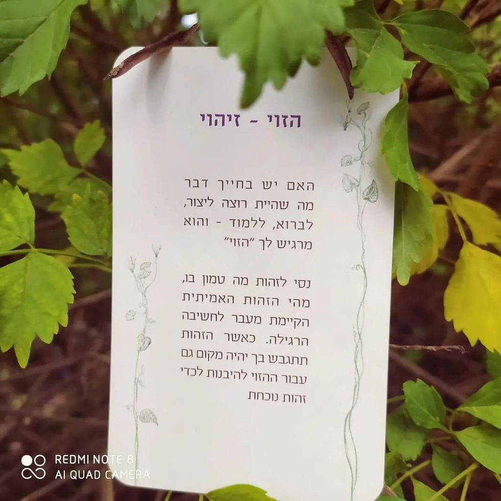 תמונה ממוזערת: קלפי שורשים