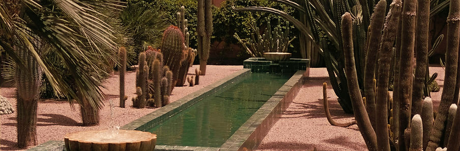 Cactus Garden_edited.jpg
