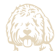 icono-DOG-BEIGE.png