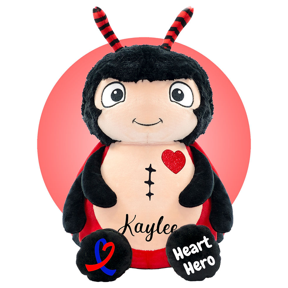 Thumbnail: Heart Surgery Gift for Kids - 17" Personalized Ladybug - Custom Scar Buddy