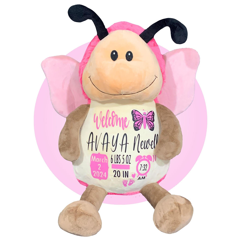 Thumbnail: Adorable Butterfly Birth Stat Gift - Baby Birth Information Sign