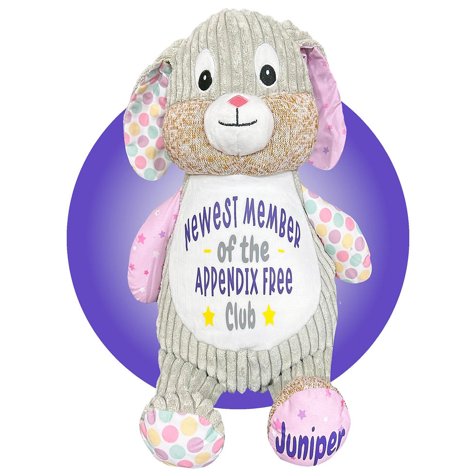 Thumbnail: violet bunny plushy get well gift for appendectomies by kikilishop appendix surgery gifts for kids