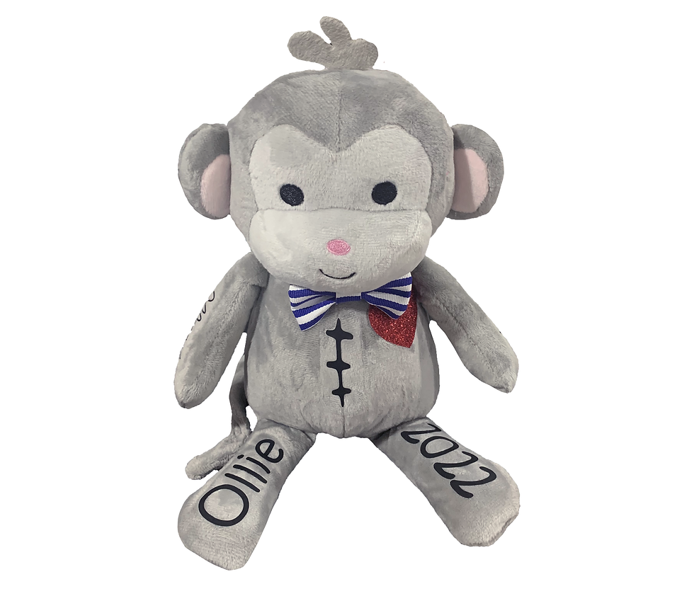 Thumbnail: CHD Heart Warrior Monkey - Our #1 Scar Buddy