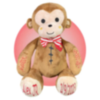 Personalized Heart Warrior Monkey - Heart Surgery Recovery Gifts for Kids