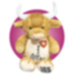 Thumbnail: 17" highland cow stuffed animal for post heart surgery, custom heart and scar locations