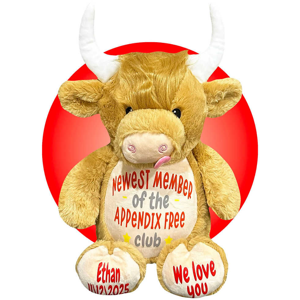 Thumbnail: 17" personalized stuffed highland cow for appendix surgery, appendectomy gift for kids
