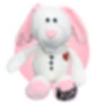 Thumbnail: Mini Scar Buddies - Personalized 9-10" Stuffed Animals for Heart Surgery Patient