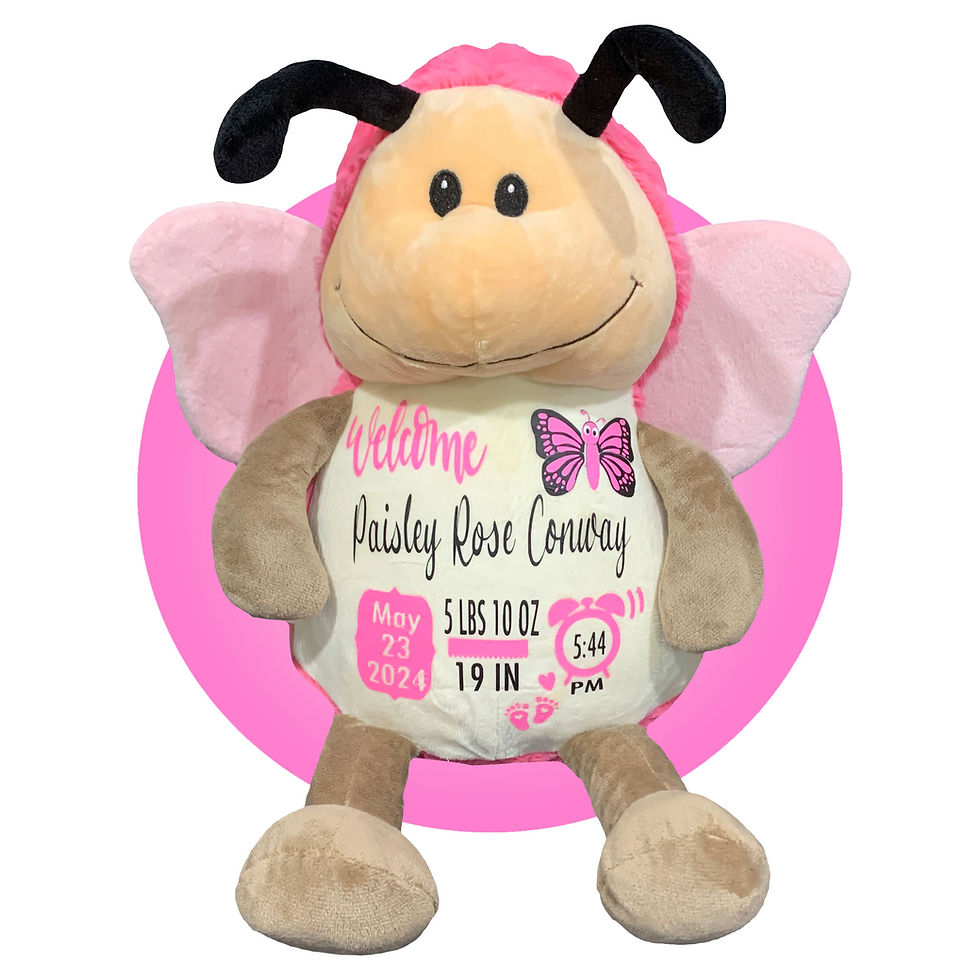 Thumbnail: Adorable Butterfly Birth Stat Gift - Baby Birth Information Sign