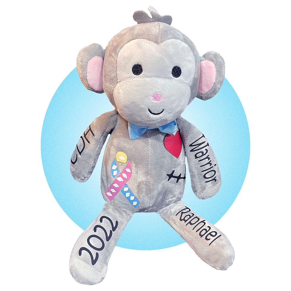 Thumbnail: CDH Monkey - Personalized - Gift for Kids With Congenital Diaphragmatic Hernias