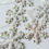 Thumbnail: Indoor Mosaic: Snowflake