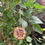 Thumbnail: Outdoor Mosaic: Jewelled Garden 14