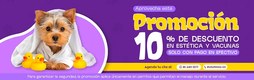 Banner-Promoción.webp