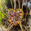 Thumbnail: Outdoor Mosaic: Garden Medium Love Heart