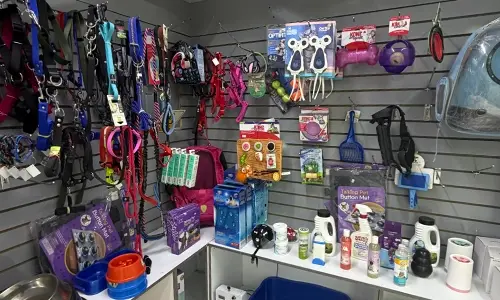 veterinaria y estética canina Monterrey