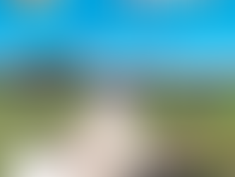 Explore Harlingen Magazine - December 2025 Issue Pickup Locations