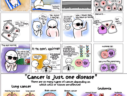 How Cancer Develops