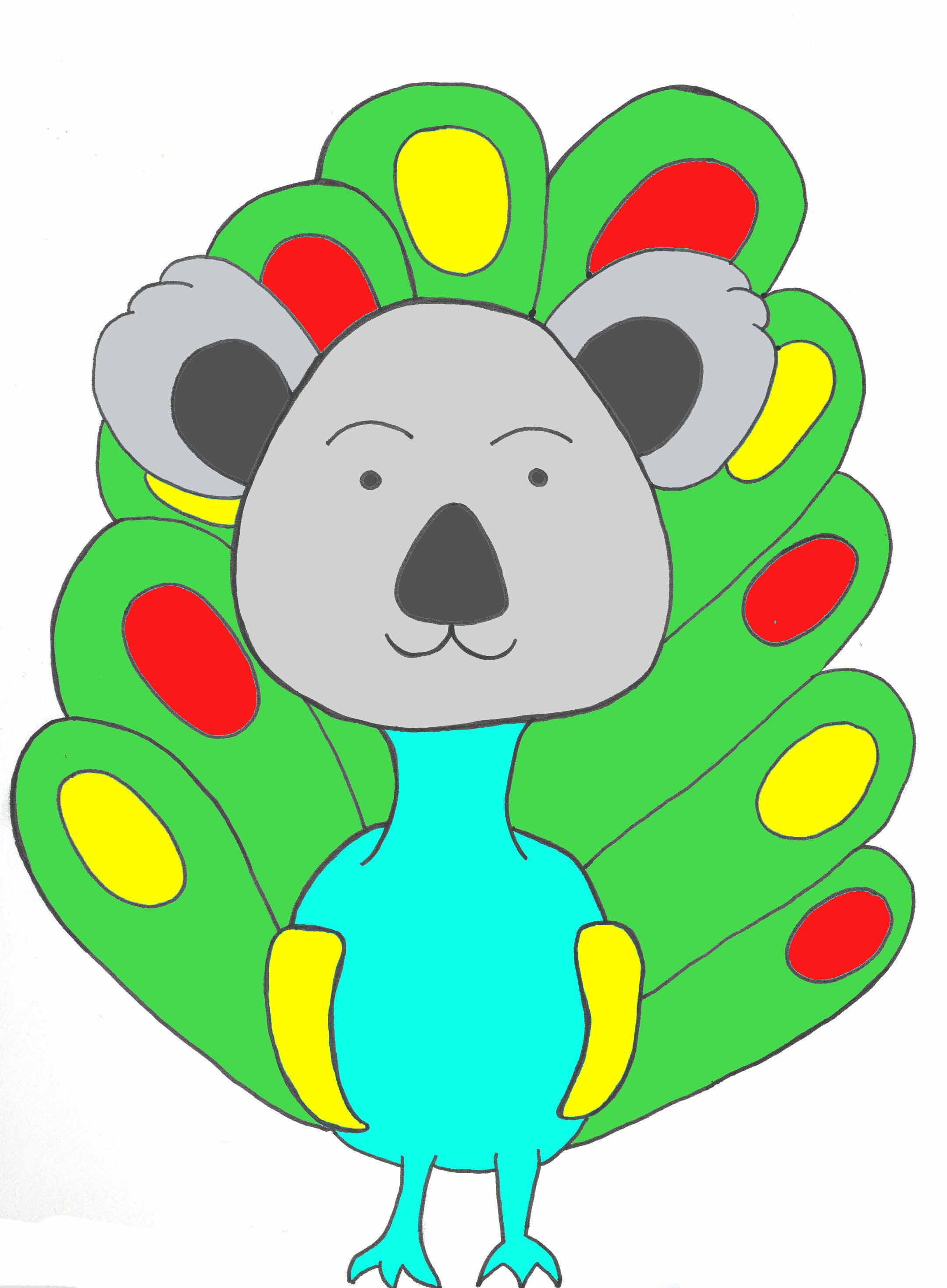 KoalaPeacock