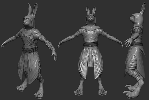 rabbit_portfolio_001.png