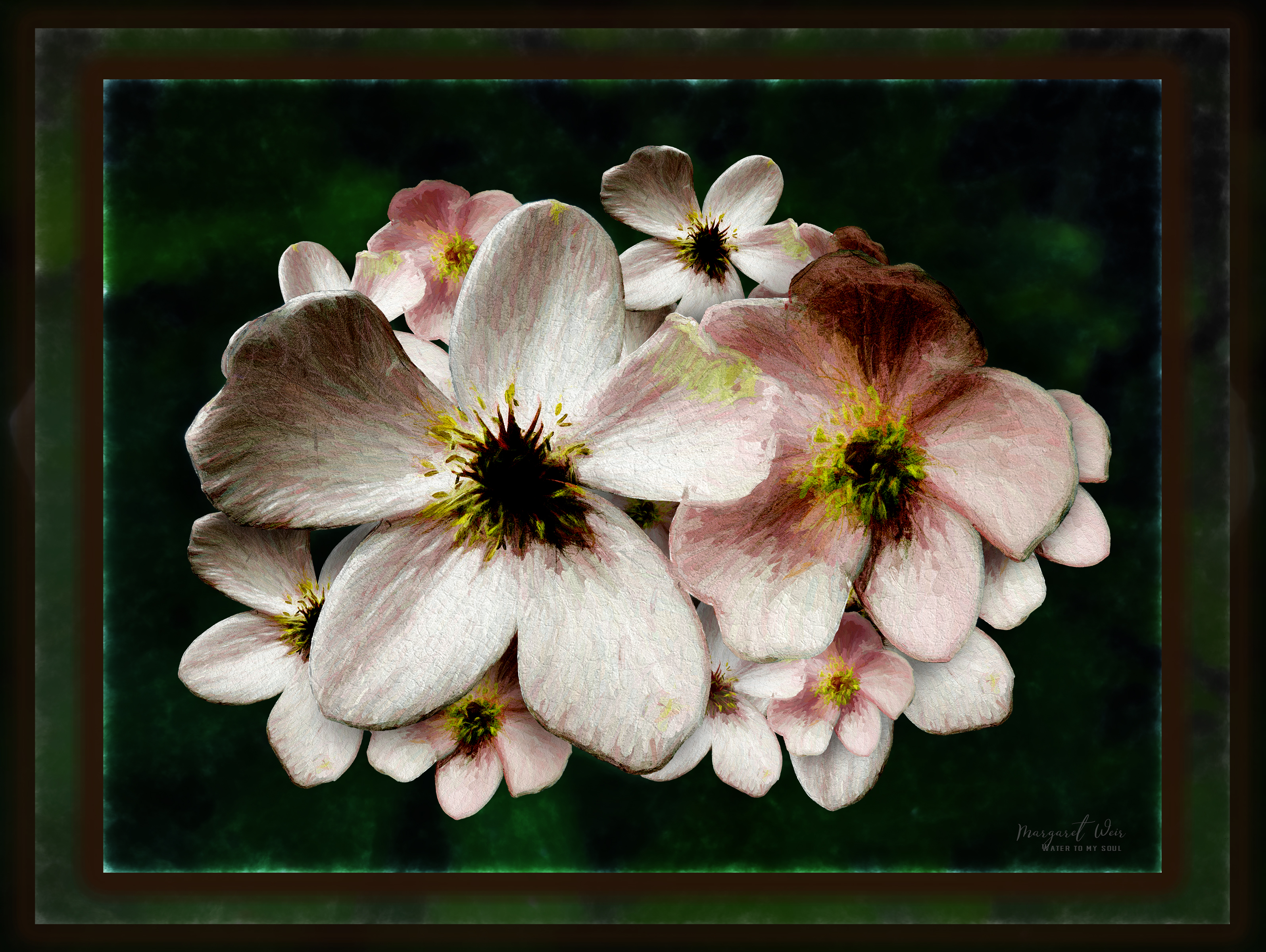 Anemone Mine