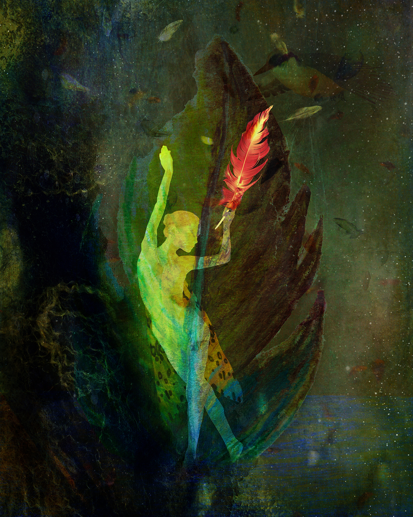 Feathers