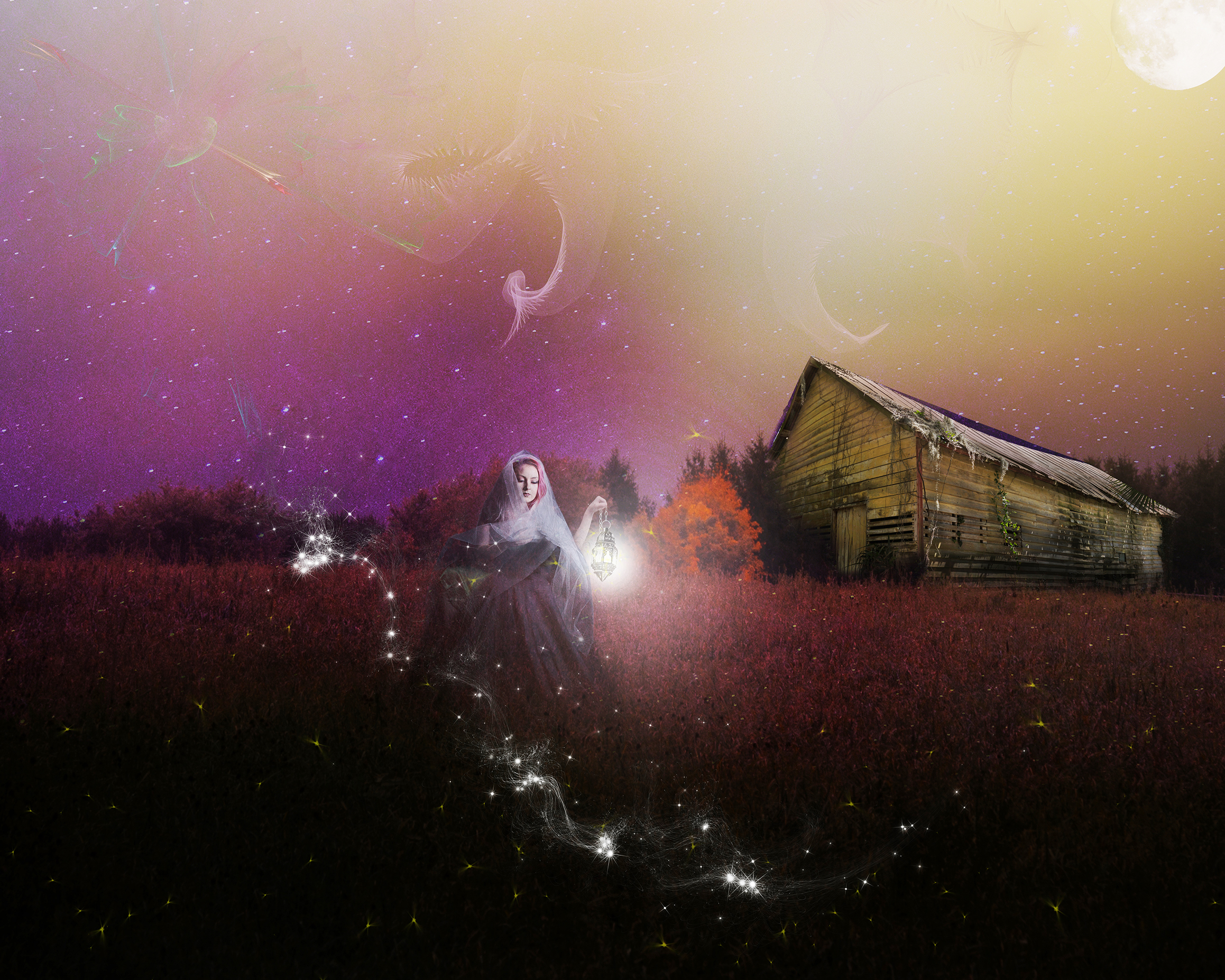 Old Moonlight