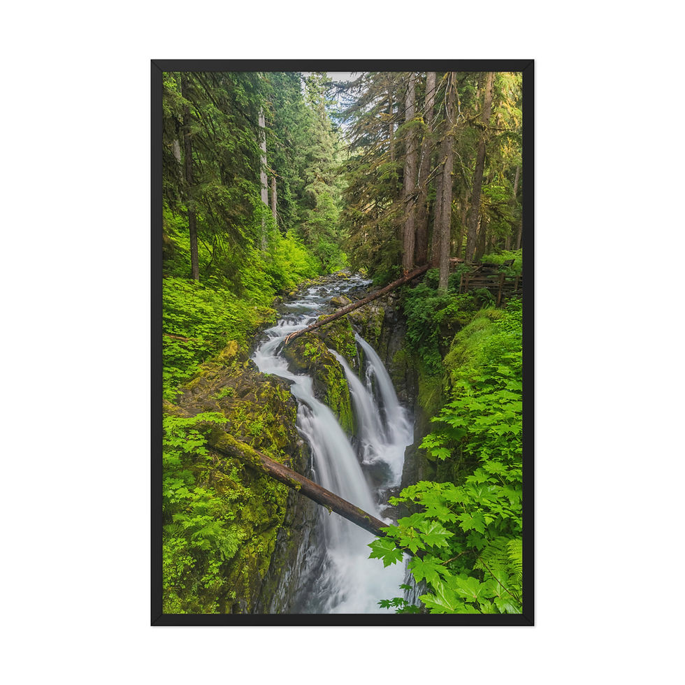 Thumbnail: Framed photo paper poster