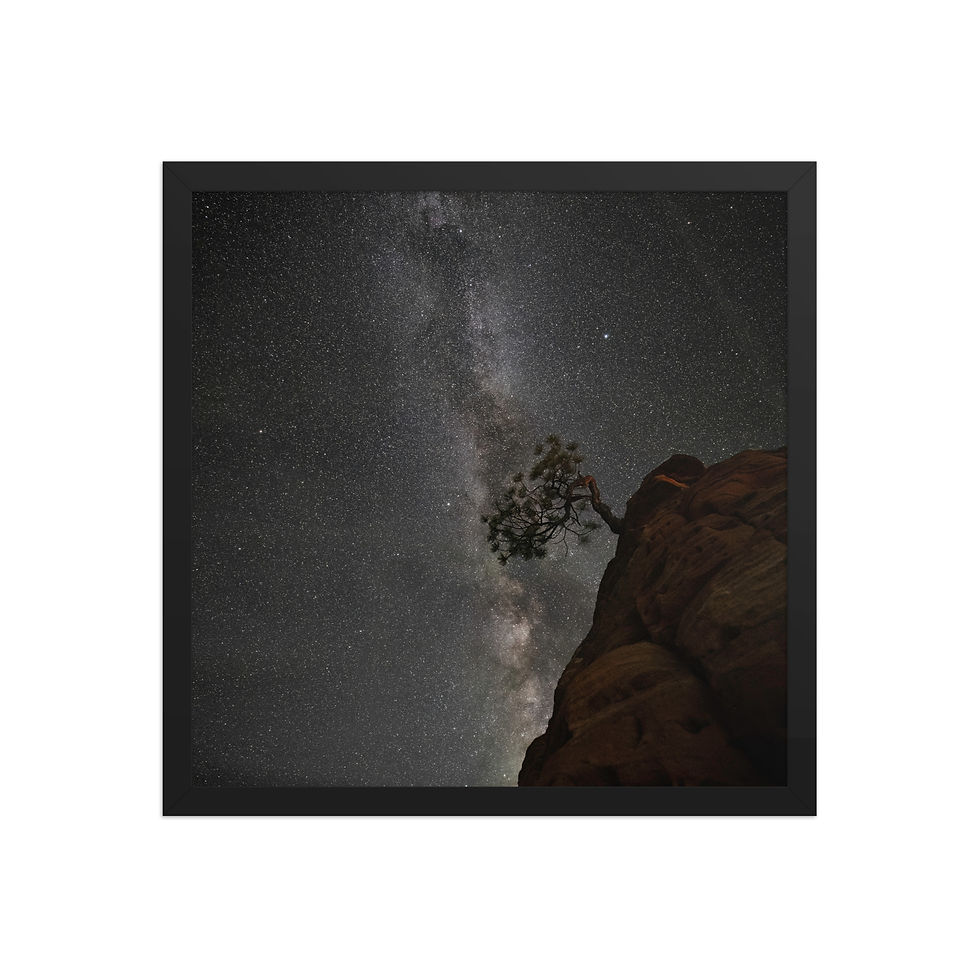 Thumbnail: Framed photo paper poster