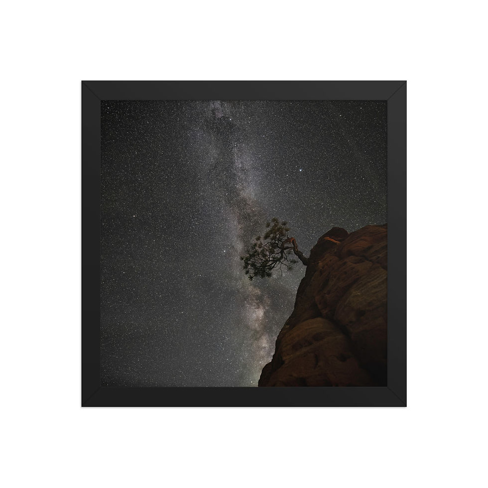 Thumbnail: Framed photo paper poster