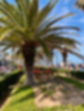 DDAC6E0E-12CE-46EE-97F6-6EBC43C26411.HEIC