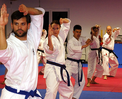Austin Karate Center private group classes
