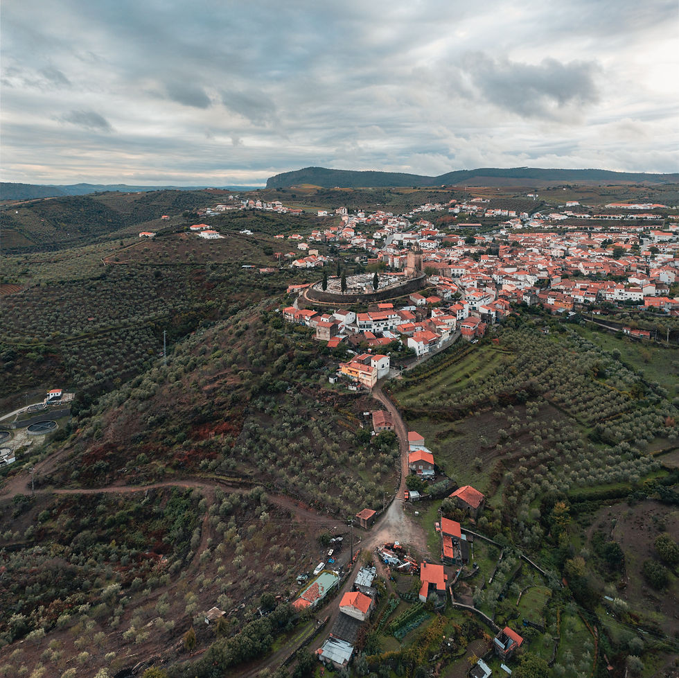 Travel Photography - JZeppelina - Freixo de Espada a Cinta From Above