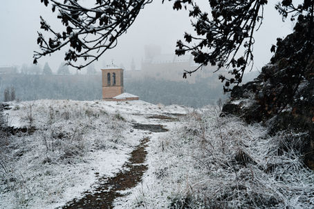 Path Less Walked - Outdoor Photography - Julia Jakovleva