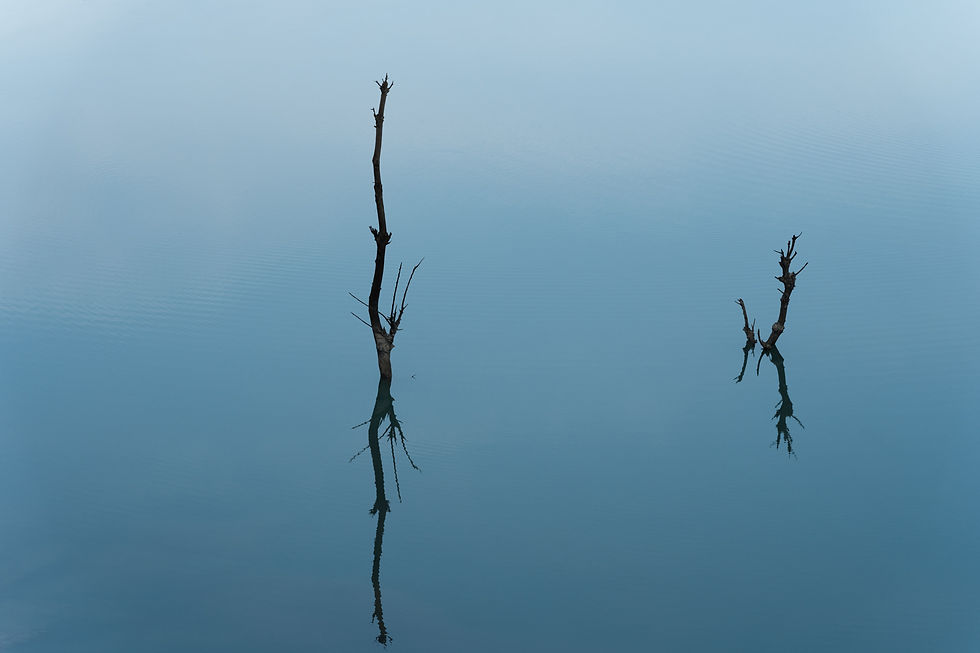 Outdoors Photography - JZeppelina - Clarity Of Mind