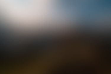 Healing Journey Through Photography