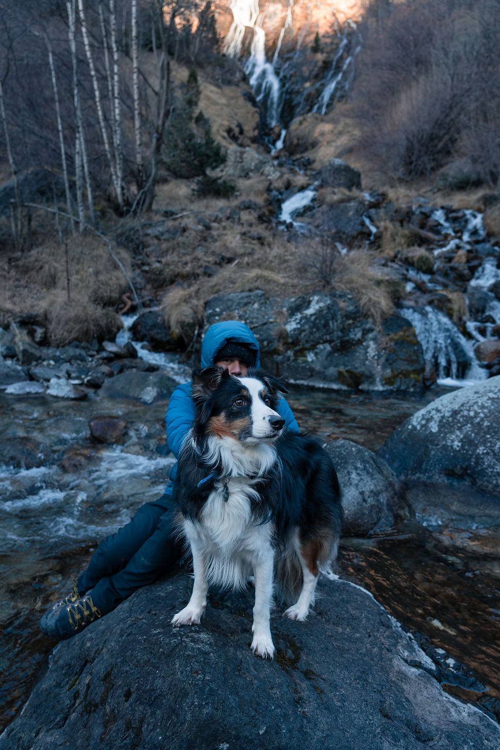 Dog Photography - JZeppelina - Luna At Espigantosa Waterfall